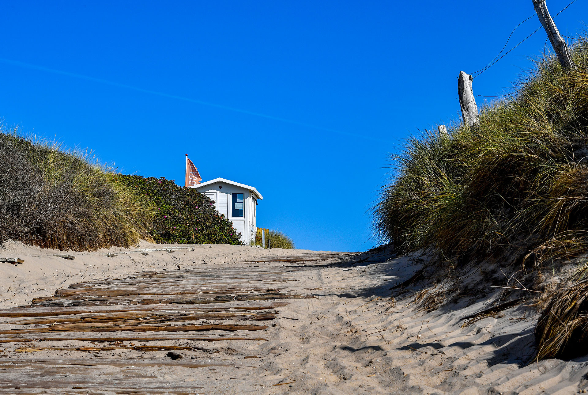 bild-galerie_sommer2021_benen-diken-hof_hotel_2021-13